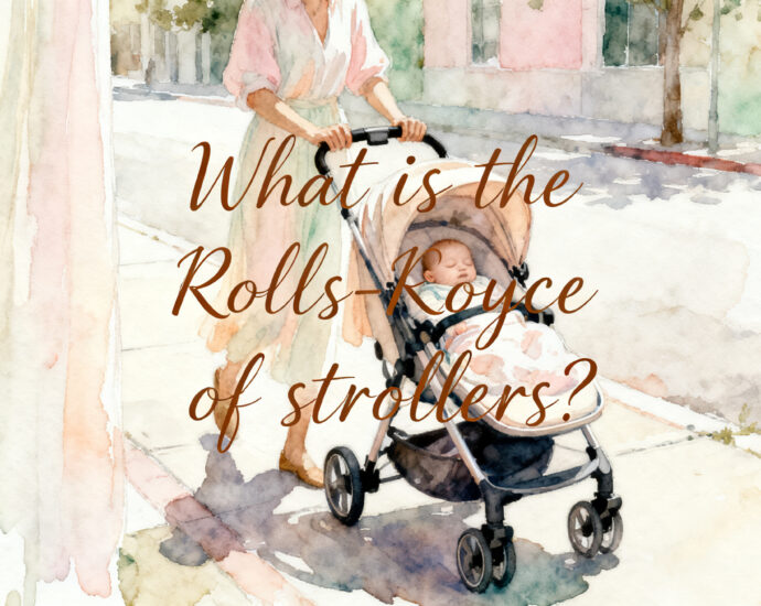 luxury stroller comparison guide for newborns on city sidewalk