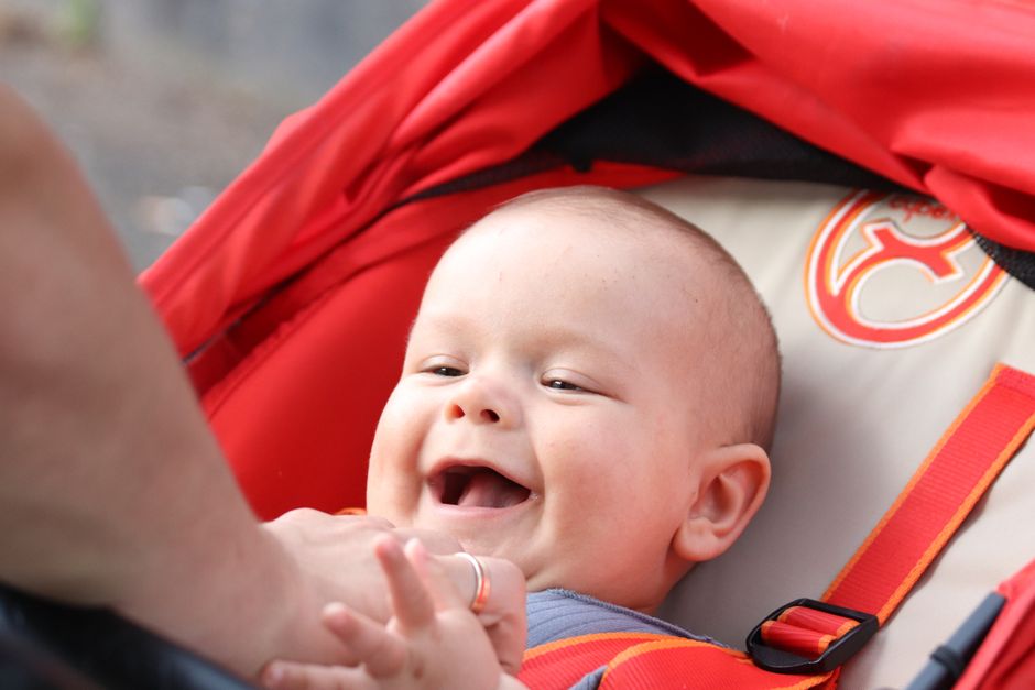 luxury stroller